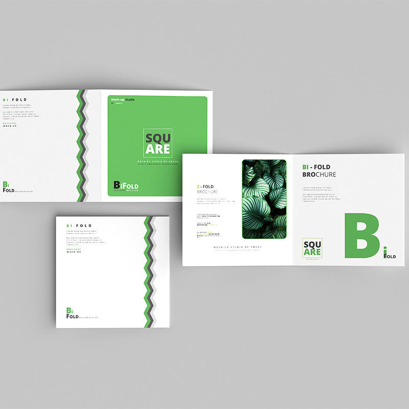 Custom Full Color Flyer Brochu - Commercial Flyer Printing review and price